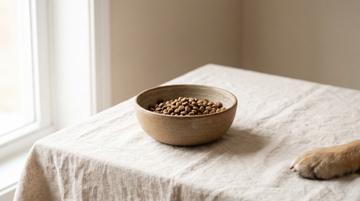 A single bowl of plain food for an elimination diet