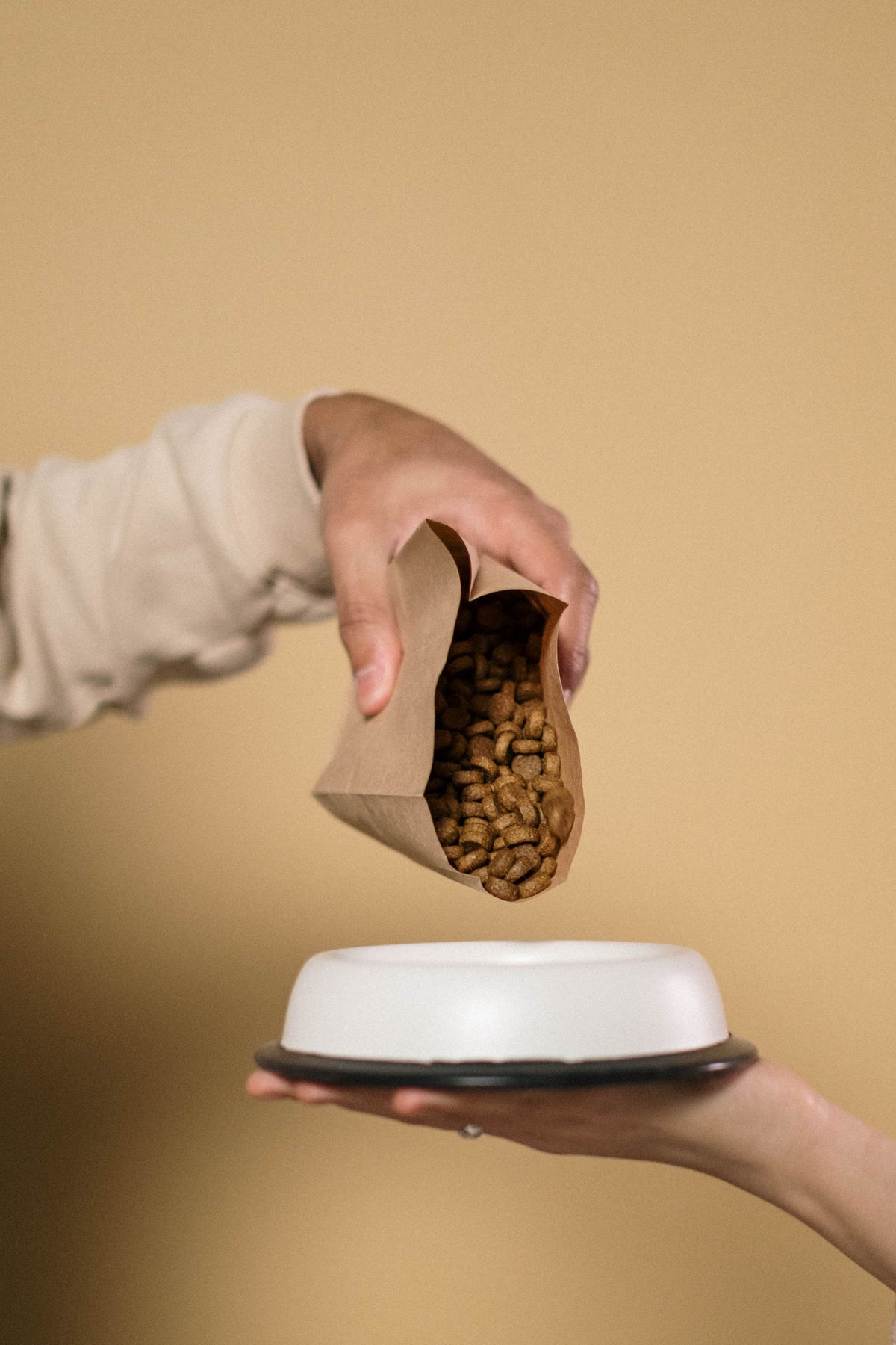 Hands holding a plain paper bag of dry dog food above a white bowl