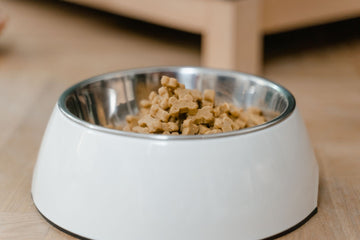 Unbranded dry dog food in a white bowl on a wooden floor