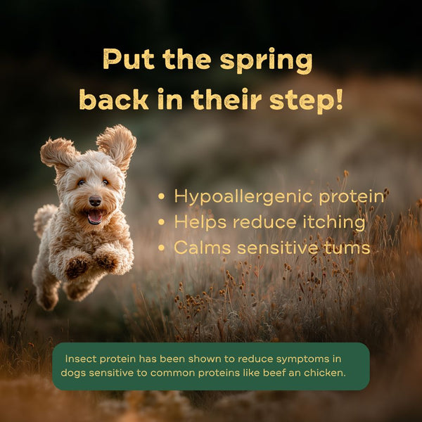 Hypoallergenic Dry Food, for Sensitive Dogs - Cold Pressed
