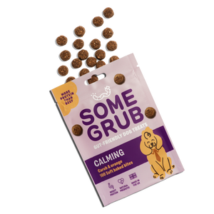 Calming treats pouch with scattered bites