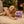 Mixed Dog Treat Bundle x6 - Calming Carob, Superfood Berry Fresh Breath & Nut Butter with Joint Care