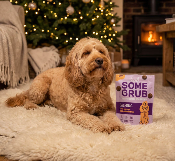 Mixed Dog Treat Bundle x6 - Calming Carob, Superfood Berry Fresh Breath & Nut Butter with Joint Care