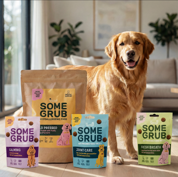 Food & Treats Intro Bundle - For Sensitive Dogs