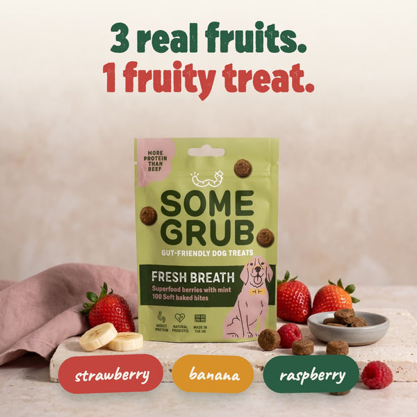 Fresh Breath actives - superfood berries