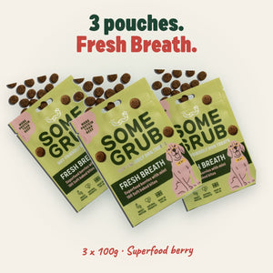 3 x 100g pouches of Some Grub Fresh Breath dog treats