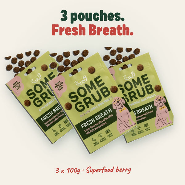 3 x 100g pouches of Some Grub Fresh Breath dog treats