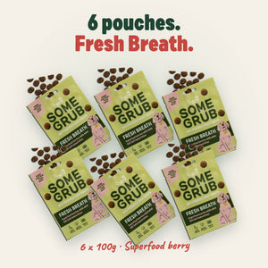 6 x 100g pouches of Some Grub Fresh Breath dog treats