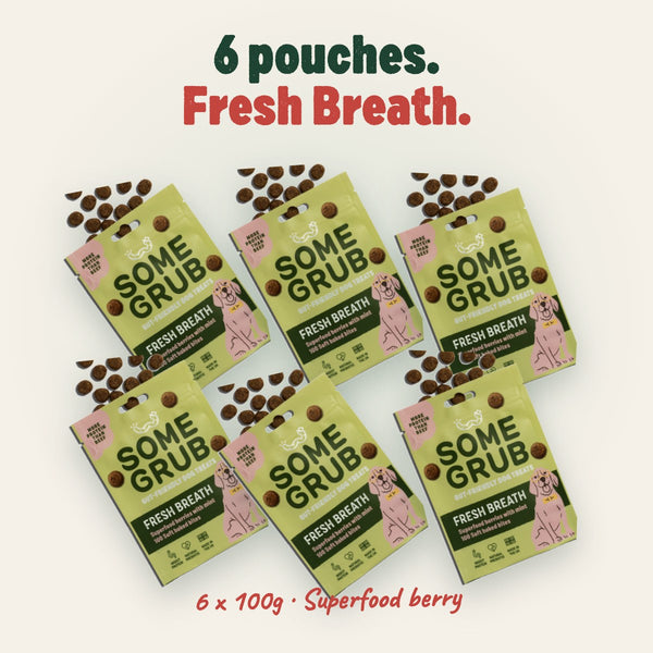 6 x 100g pouches of Some Grub Fresh Breath dog treats