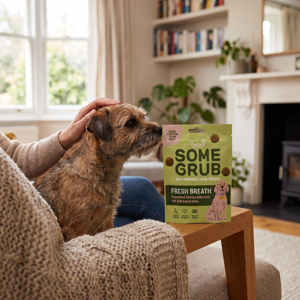 Some Grub Fresh Breath treats at home