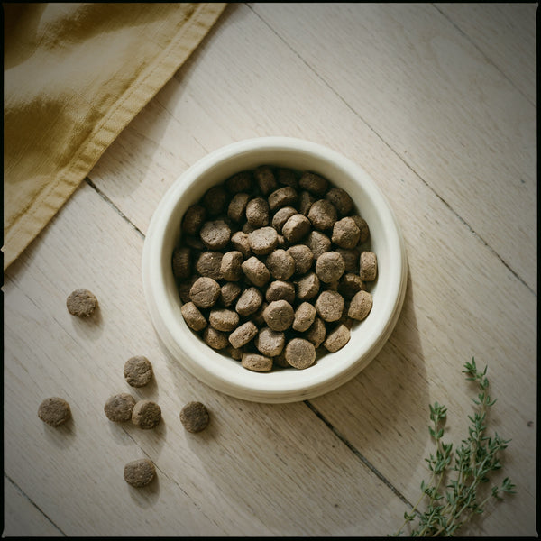 Some Grub cold-pressed pellets in a bowl, seen from above