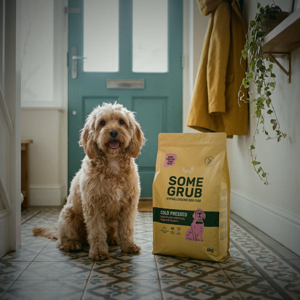 The 6kg Some Grub bag beside a cockapoo, for scale