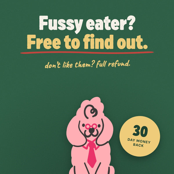 The picky dog promise
