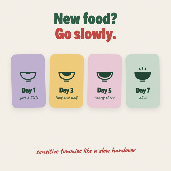 7-day transition guide