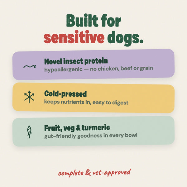 Why cold-pressed insect protein works for sensitive dogs