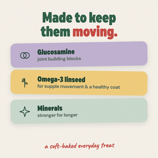 Why Joint Care works